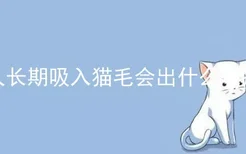 人长期吸入猫毛会出什么毛病