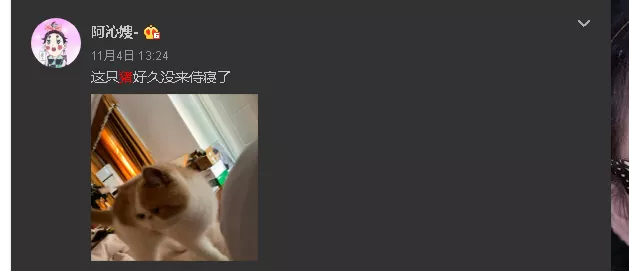 阿沁刘阳分手  渣男分手以后还要带走猫....阿沁刘阳分手？ 渣男分手以后还要带走猫....阿沁刘阳分手？ 渣男分手以后还要带走猫....阿沁刘阳分手？ 渣男分手以后还要带走猫....阿沁刘阳分手？ 渣男分手以后还要带走猫....阿沁刘阳分手？ 渣男分手以后还要带走猫....