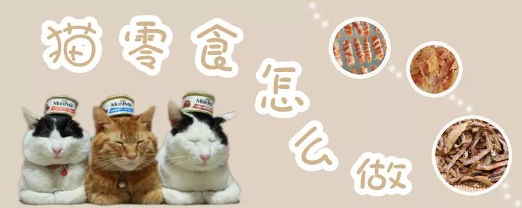 猫零食怎么做