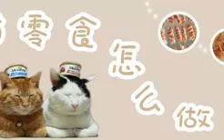 猫零食怎么做