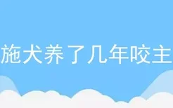 西施犬养了几年咬主人