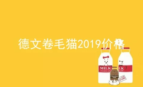 德文卷毛猫2019价格