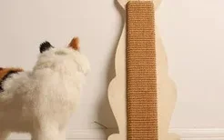 如何防止猫咪抓墙 训练猫咪不抓墙