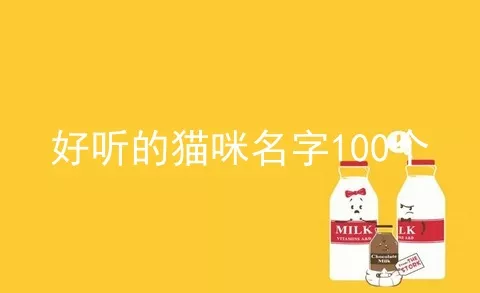 好听的猫咪名字100个