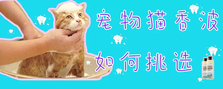 宠物猫香波如何挑选