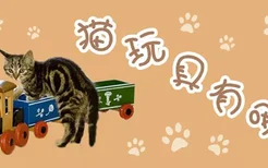 猫玩具有哪些