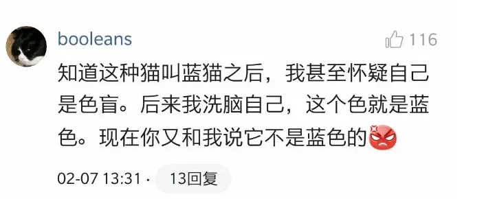 灰猫什么品种 明明是灰色为什么要叫蓝色？灰猫什么品种