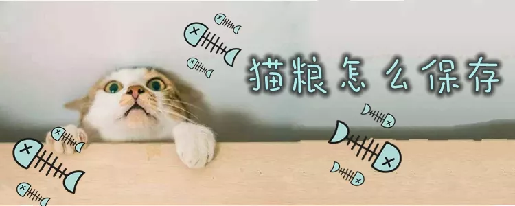 猫粮怎么保存