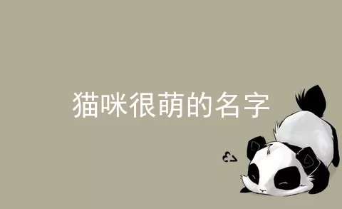 猫咪很萌的名字