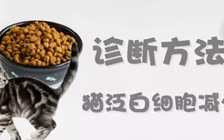 猫泛白细胞减少症的诊断方法