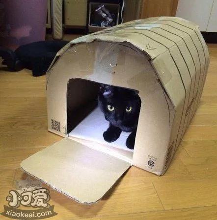 怎么用纸箱做猫窝