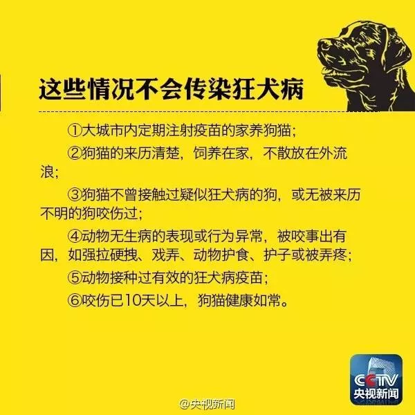 被小奶猫抓破皮没出血 不是所有的抓伤都要打针被小奶猫抓破皮没出血 不是所有的抓伤都要打针被小奶猫抓破皮没出血 不是所有的抓伤都要打针