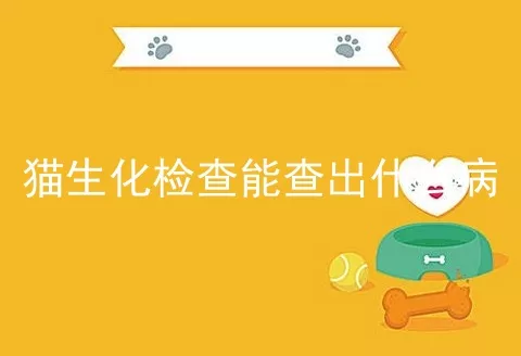 猫生化检查能查出什么病