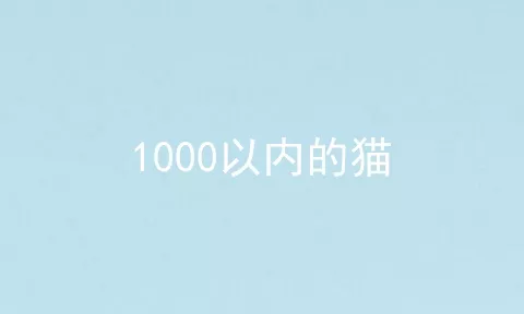 1000以内的猫