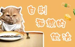 自制猫粮的做法