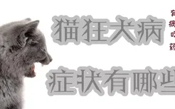 猫狂犬病症状有哪些