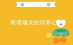 斯塔福犬的饲养心得