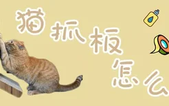 猫抓板怎么做