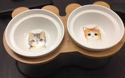猫喝水用什么容器好猫水碗材质也是有讲究的！