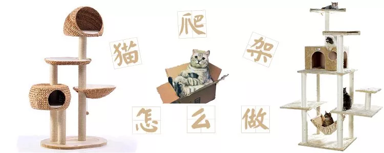 猫爬架怎么做