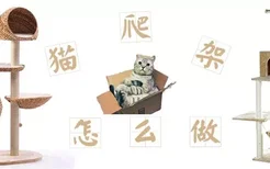 猫爬架制作教程