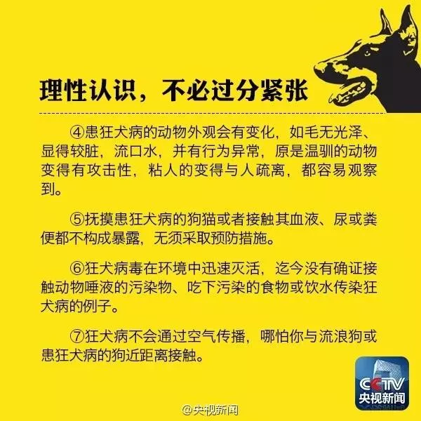 被自家的狗抓破了皮怎么办 需要打针吗？