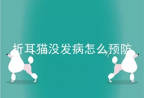 折耳猫没发病怎么预防