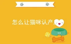 怎么让猫咪认产房