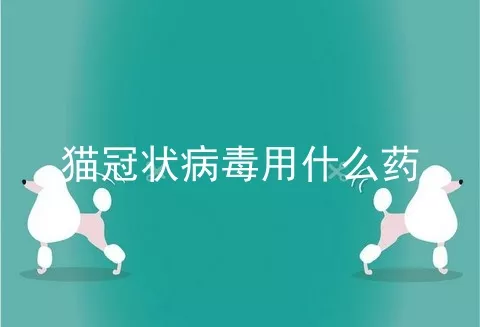 猫冠状病毒用什么药