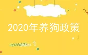 2020年养狗政策