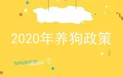 2020年养狗政策