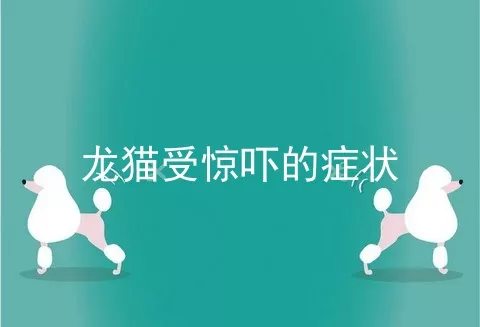 龙猫受惊吓的症状