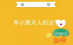 养小鹿犬人的运气