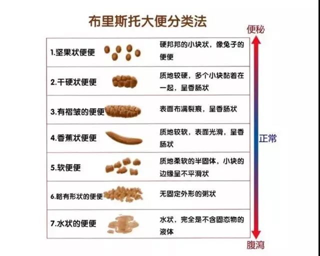 狗狗拉稀是什么原因？ 一篇文章讲透狗狗拉稀！