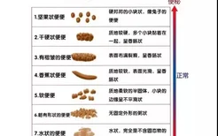 狗狗拉稀是什么原因？ 一篇文章讲透狗狗拉稀！