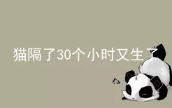 猫隔了30个小时又生了