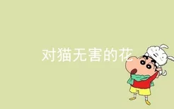 对猫无害的花