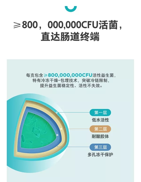 宠物益生菌的作用与功效 温柔呵护玻璃胃