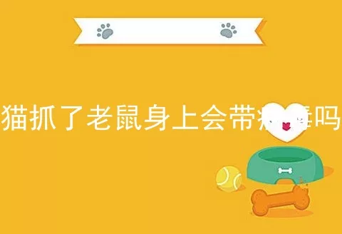 猫抓了老鼠身上会带病毒吗