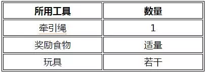 怎么训练黑俄罗斯梗跨障碍 黑俄罗斯梗跨障碍训练方法