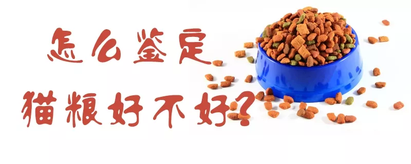 怎么鉴定猫粮好不好