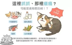 猫过敏症状 猫容易对什么食物过敏？