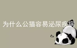 为什么公猫容易泌尿疾病