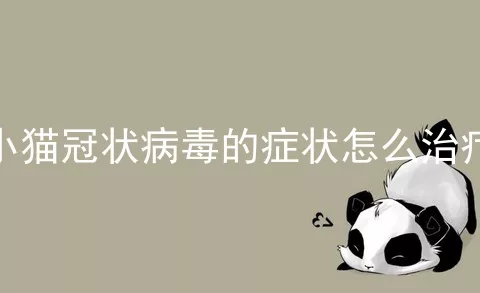 小猫冠状病毒的症状怎么治疗