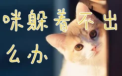 猫咪躲着不出来怎么办