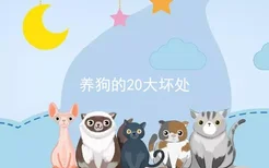 养狗的20大坏处