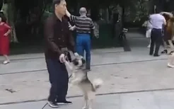 大爷在公园跳舞，网友看清后直接笑喷，狗还能当舞伴？！