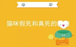 猫咪假死和真死的区别