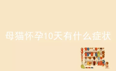 母猫怀孕10天有什么症状