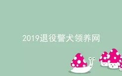 2019退役警犬领养网